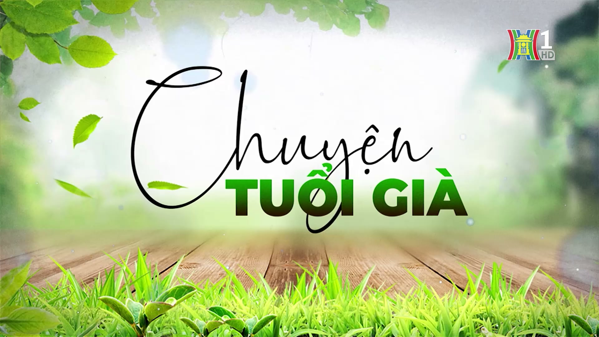 Đồ cổ, thú chơi tao nhã của tuổi già | Chuyện tuổi già | 24/11/2024